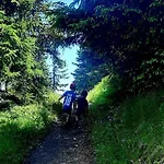 Alpenbluehn Appartement Tschagguns