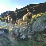 Appartement Alpenbluehn