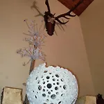 Alpenbluehn Appartement *