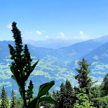 Alpenbluehn Tschagguns *