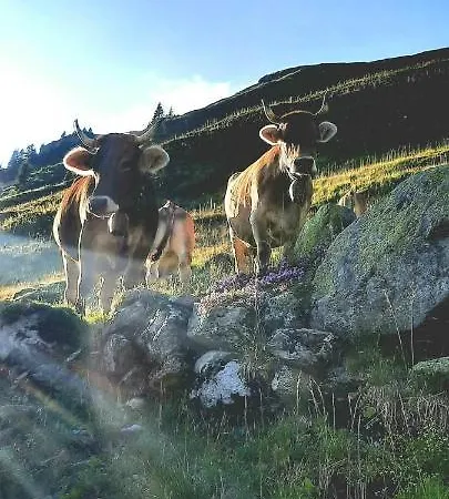 Διαμέρισμα Alpenbluehn Tschagguns