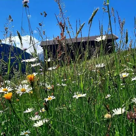 Alpenbluehn Tschagguns *